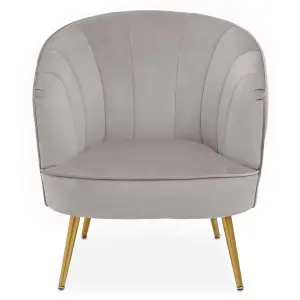 Interiors by Premier Versatile Yolanda Grey Velvet Chair, Exquisite & Cozy Desk Chair Velvet, Easy to Clean Velvet Accent Chair