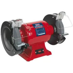 200mm Heavy Duty Bench Grinder with 600W Induction Motor and Dual Grinding Stones