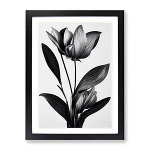 XV1022-2844X Monochrome Flower - Single Picture Frame Painting Black / 34cm H x 25cm W x 2cm D