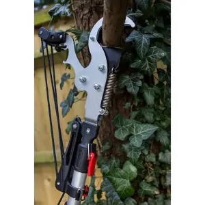 Darlac Expert Geared Anvil Tree Pruner, DP1583