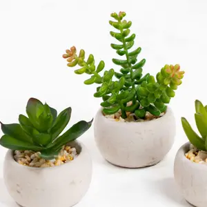 Blooming Artificial - 7cm / 0.25ft Artificial Succulent Trio