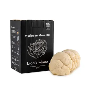 Lion's Mane Mushroom Growing Kit