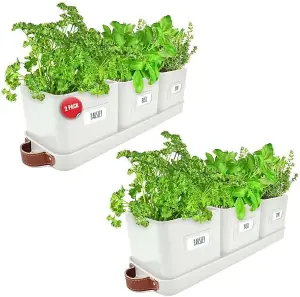 Warm Stone Herb Pots - 2 Pack with Leather Tray & Drainage Holes, Ideal for Kitchen Windowsill, Indoor Herbs & Small Plants