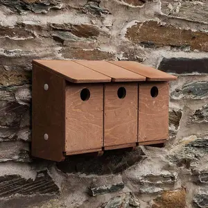 Sparrow Terrace Nest Box - Plywood - L17 x W39 x H24 cm