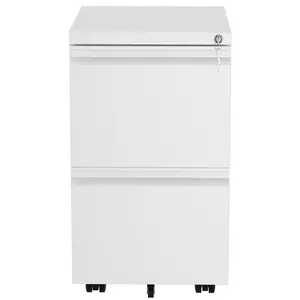 39cm Wide 2 -Drawer Mobile Steel File Cabinet White