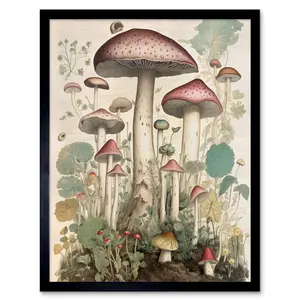 Adelade Mushroom Fungi Botanical Vintage Cottagecore Rustic - Single Picture Frame Print