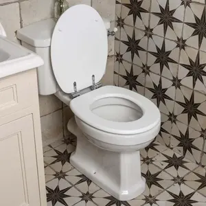 White Soft Closing Toilet Seat