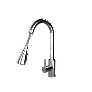 Kersin Luxr Chrome Kitchen sink Mixer Tap with Pull-Out Hose and Spray Head