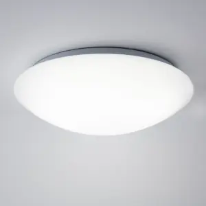 Dion 30cm Wht Oyster Twin Pk LED