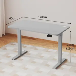 Hieronymus Electric Height Adjustable T-Shape Standing Desk Grey / Grey / 122 x 120 x 60 cm