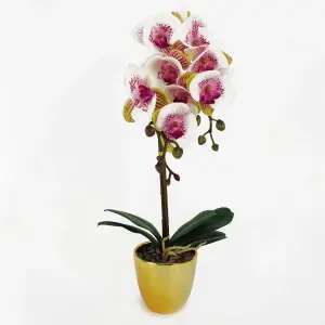 48cm Harlequin Orchid Artificial  - Pink with Gold Pot