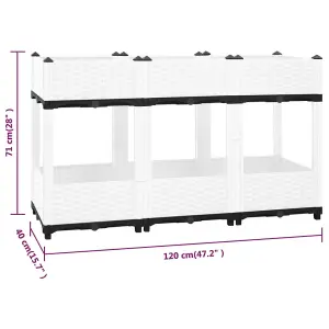 Berkfield Raised Bed 120x40x71 cm Polypropylene