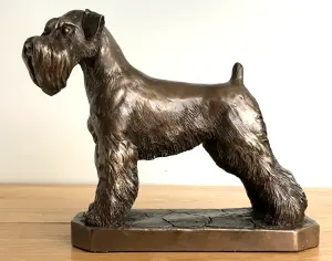 Schnauzer dog figurine in solid cold cast bronze designed by David Geenty