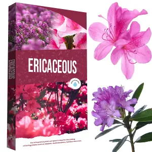 2 Bags (120L) Ericaceous Plant Soil Specially Formulated With Essential Nutrients Azalea, Camellia, Rhododendron & Heather