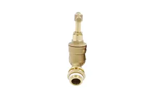 Warmer System Water Bibcock Tap 1/2 inch BSP with Brass Wall Plate Fixture