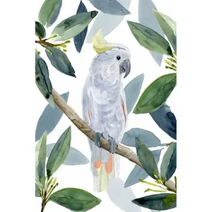 Cockatoo Perch I by Annie Warren - Wrapped Canvas Painting 46cm H x 30cm W x 3.8cm D