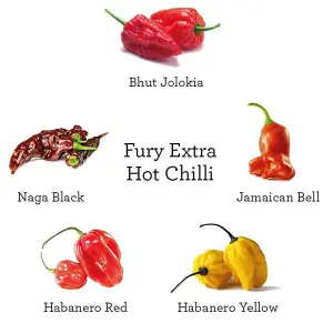 Plant Theory Grow Your Own Hot Chilli Kit- Bhut Jolokia, Naga Black, Jamaican Bell, Habanero Red-Vegan Compost & 100% Plastic Free