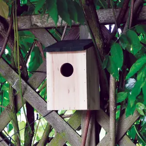 Traditional Small Wild Bird Nesting Box