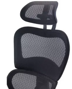 Rainbow Zebra High Back Ergonomic Mesh Office Chair with Arms and Headrest