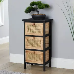 Home Source Mosina 3 Drawer Rattan Storage Chest