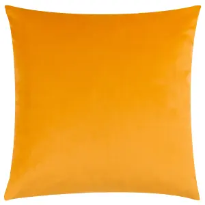 Heya Home Raeya Art Deco Velvet Cushion Cover