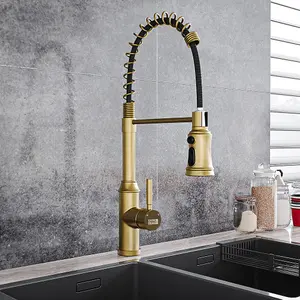 Gold Stainless Steel Side Lever Kitchen Spring Neck Kitchen Tap Mixer Tap