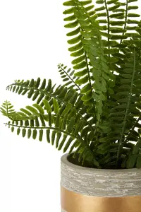 Fiori Boston Fern Succulent Artificial Plant Foliage