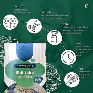 Mushroom Growing Kit Shiitake - Beginner Friendly Ready to Grow Educational Kit - Easy to Use Gardening Gift - Grow Your Own