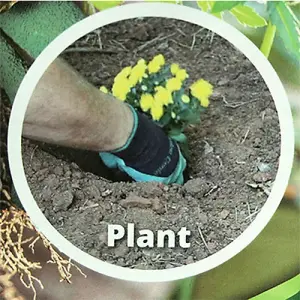 Garden Claw Gloves with Digging and Planting Claws