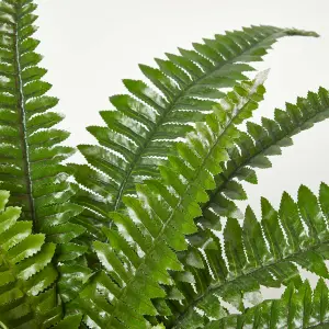 Homescapes Boston Fern in Pot, 45 cm Tall