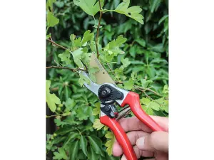 Faithfull P254010 Countryman Professional Bypass Secateurs 215mm (8in) FAICOUBYPRO8