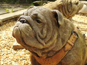 Life Size Sitting British Bulldog Stone Garden Ornament