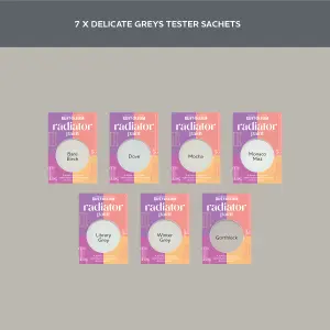 Rust-Oleum Light Grey Gloss Radiator Paint Tester Samples - 10ml