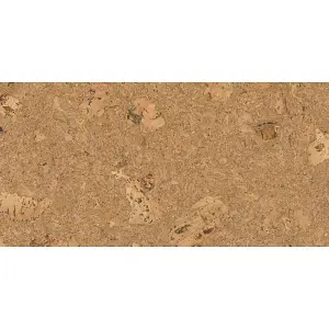 Beautiful Cork Wall Panels - Natural 1 - 1 Pack - 1.98m2 - 600x300x3mm