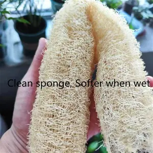 Natural And Eco-Friendly Cleaning Loofah Sponge Scrubber For Kitchen Bathroom Bath Shower Pot Bowl