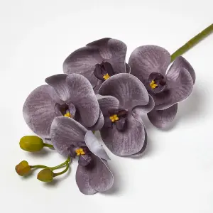 Homescapes Artificial Stem of Grey Orchid Flower, 68 cm