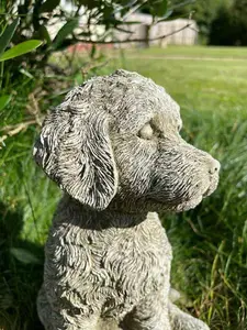 Cockapoo Puppy Dog Stone Statue Animal Outdoor Garden Ornament Decoration British Made Sculpture