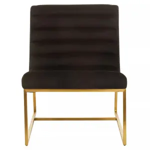 Interiors by Premier Black Velvet Cocktail Chair, Modern Art-Deco Black Velvet Accent Chair, Matte Gold Stainless Steel Frame