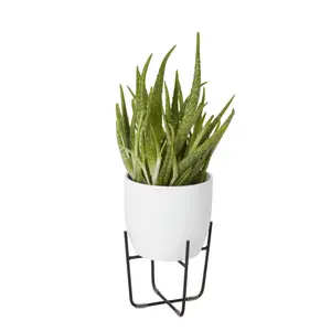 Verve White Ceramic Plant pot (Dia) 14cm, (H)13cm, 1.4L