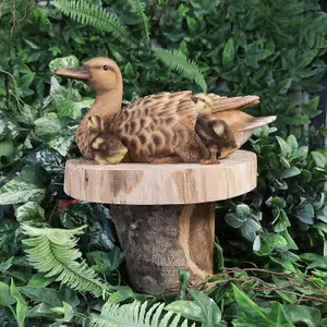 Vivid Arts Mother Duck and Ducklings Garden Ornament