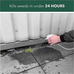 Fast Acting Weedkiller Weed Gone 5L With Long Hose Trigger