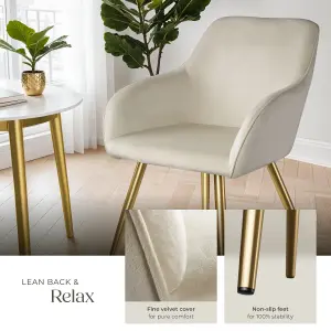 Chair Marilyn - with armrests, padded, velvet look, golden steel legs - cream/gold