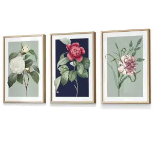 Set of 3 Framed Vintage Flowers Camellia Blue and Green / 30x42cm (A3) / Oak