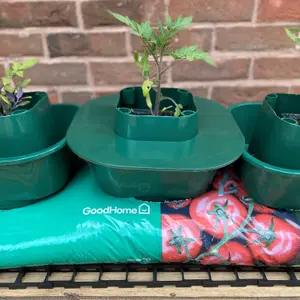 Set of 3 Tomato & Vegetable Growbag Pots with Planting Guard