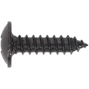 100 PACK 4.2 x 16mm Self Tapping Black Screw - Flanged Pozi Head - Fixings Screw