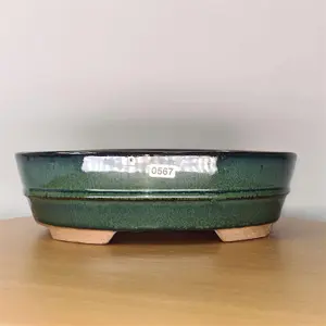 31cm Glazed Bonsai Pot - Oval - 31cm x 24cm x 8cm - Green