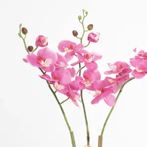 Blooming Artificial - 70cm / 2.25ft Pink Artificial Phalaenopsis Orchid