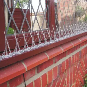 Anti Bird Perching Deterrent Fence Spikes