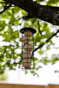 Wild Bird Fat Ball Feeders - Metal Mounted Station Bird Feeder Hanging