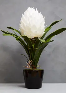 Fiori White Tropical Plant Artificial Plant Foliage